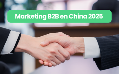 Marketing B2B en China 2025 (digital)
