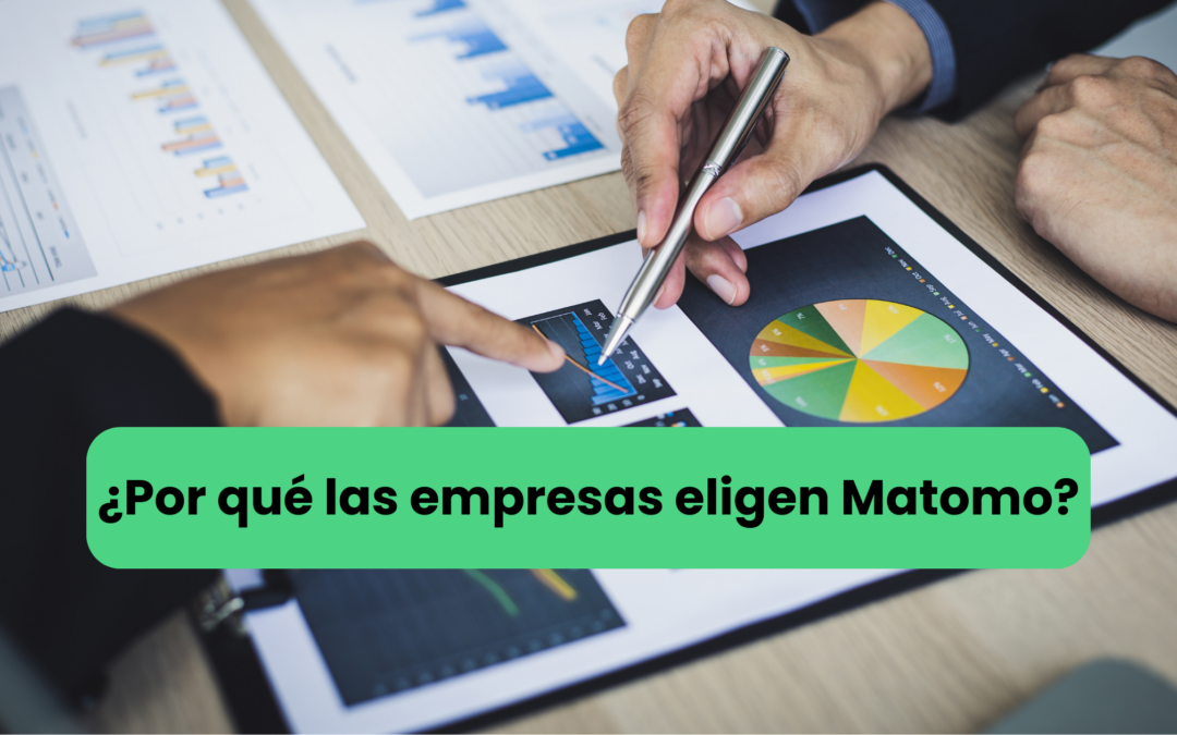 Matomo ayuda a las empresas a analizar datos web de forma segura, obteniendo insights precisos para decisiones rápidas y crecimiento.